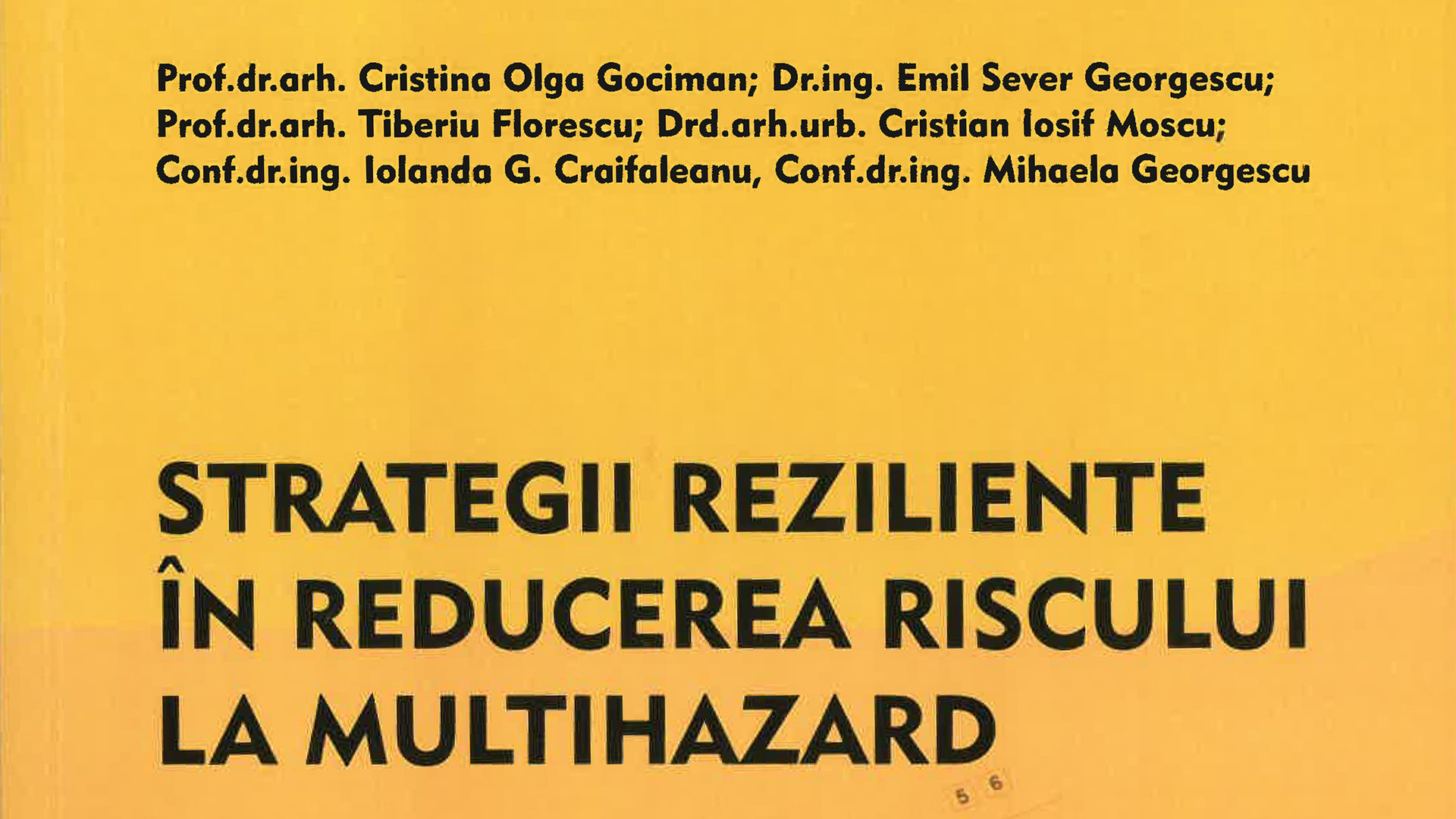 Strategii, reziliențe în reducerea riscului la multihazard