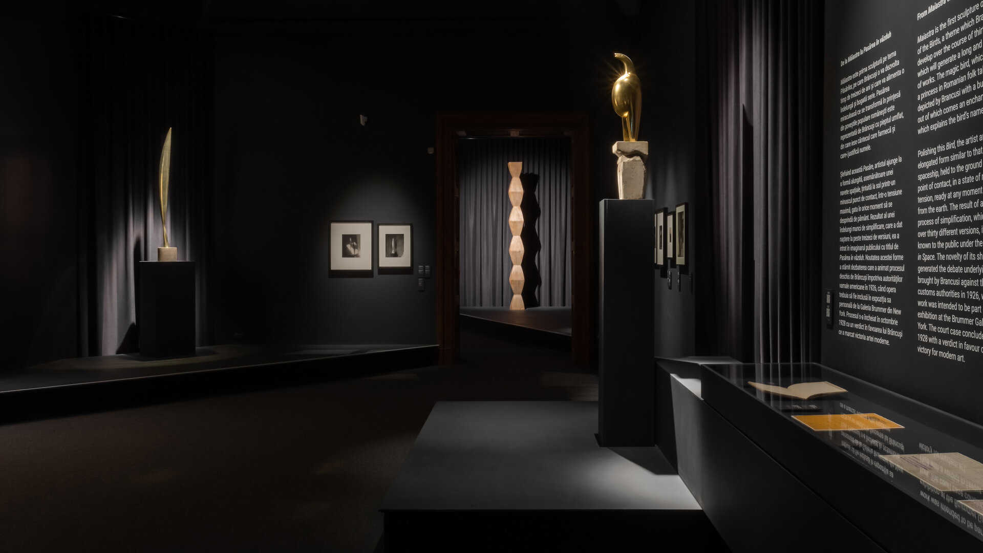 Constantin Brâncuși: Surse românești și perspective universale