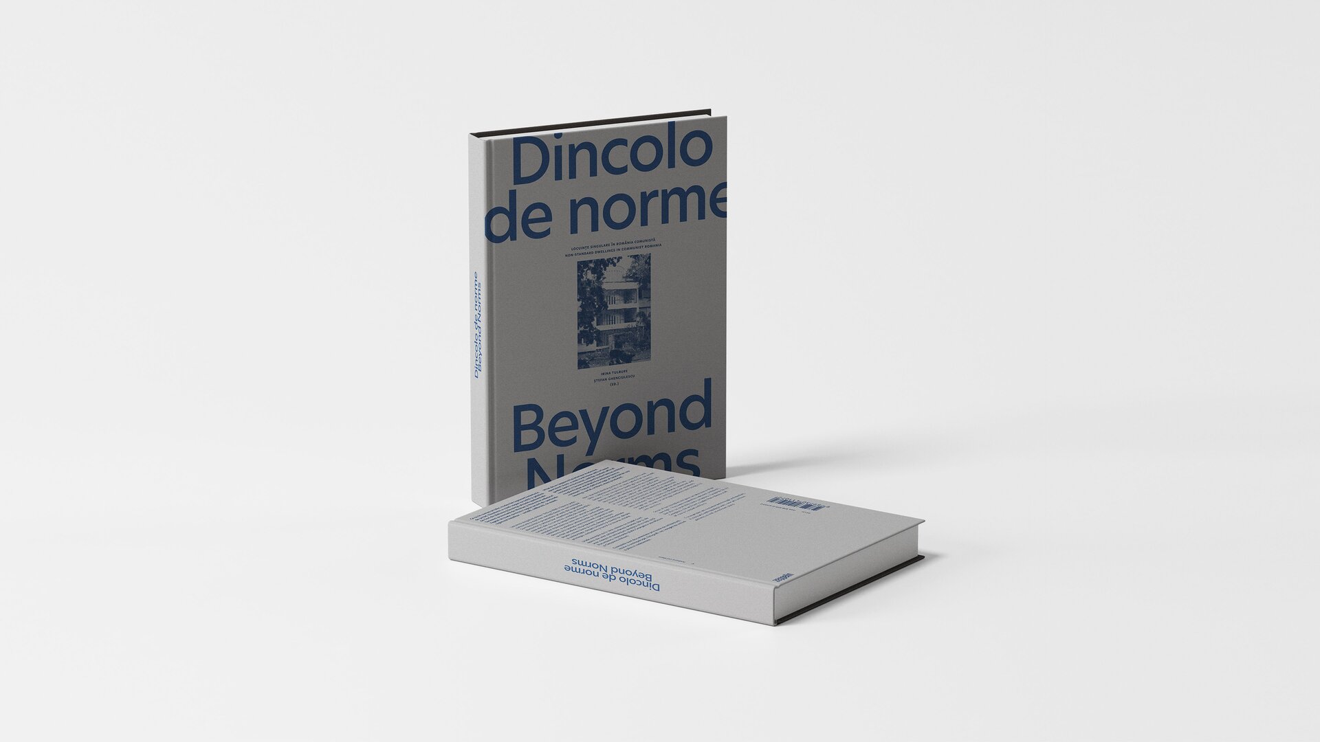 Dincolo de norme. Locuințe singulare în România comunistă