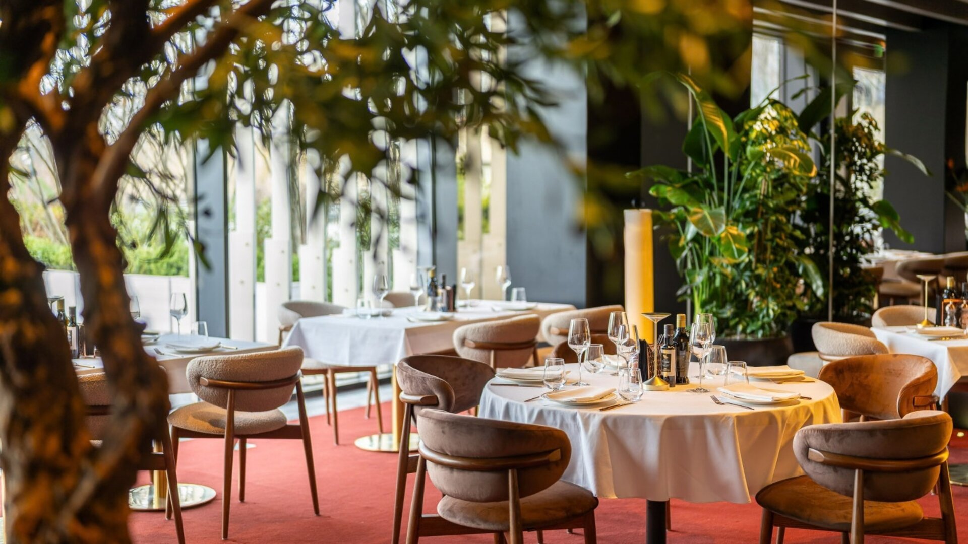 Restaurant Stejarii